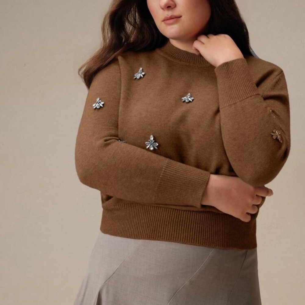 🤎 PLUS Embellished Sweater 🤎 - Picture 3 of 6